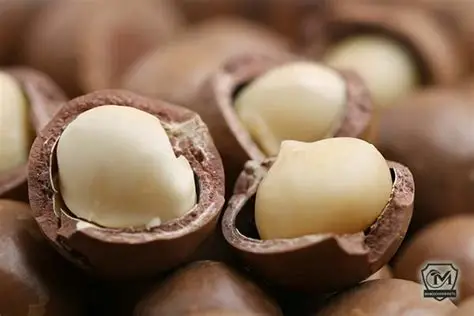انار ۱